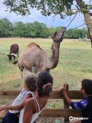 Parc animalier des Clautres ( Réouverture le 8 Avril 2024 )