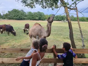 Parc animalier des Clautres ( Réouverture le 8 Avril 2024 )