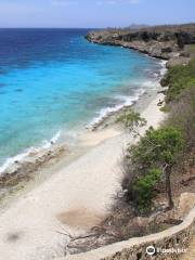 Bonaire National Marine Park