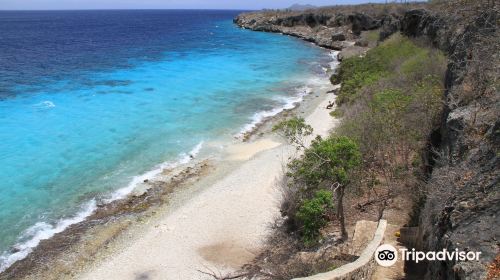 Bonaire National Marine Park