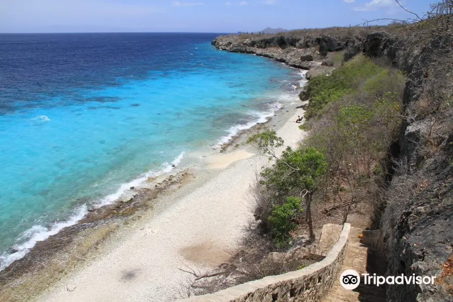 Bonaire National Marine Park