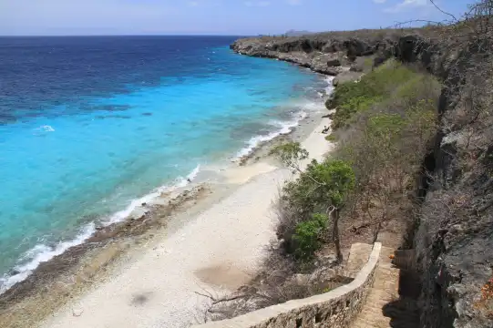 鄰近Bonaire National Marine Park的酒店