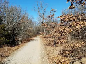 Keystone Ancient Forest