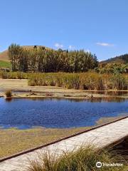 Pekapeka Wetlands