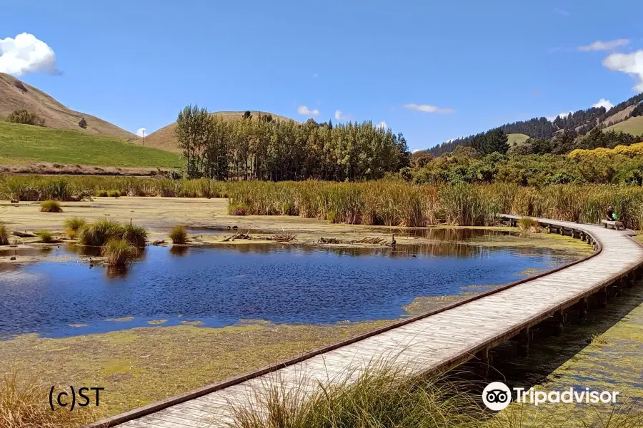 Pekapeka Wetlands