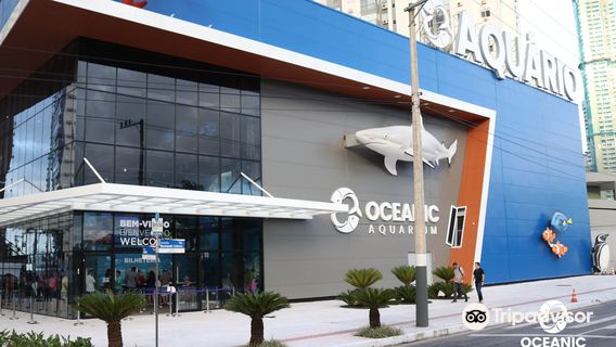 Oceanic Aquarium