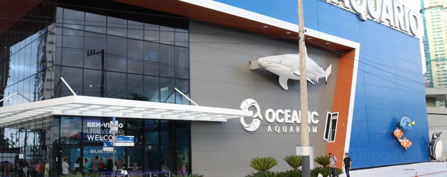 Oceanic Aquarium
