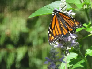 ABQ BioPark Zoo