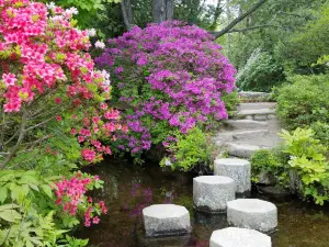 Asticou Azalea Garden