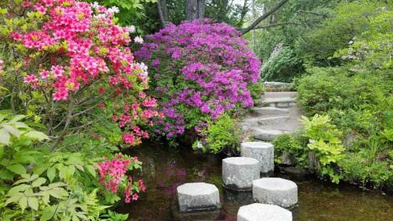 Asticou Azalea Garden