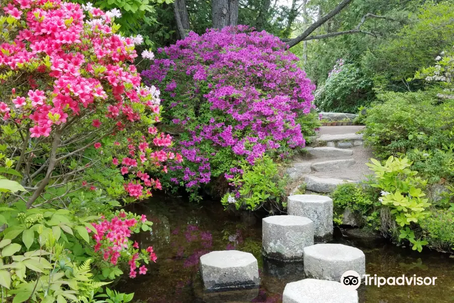 Asticou Azalea Garden