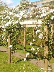 Katikati Bird Gardens