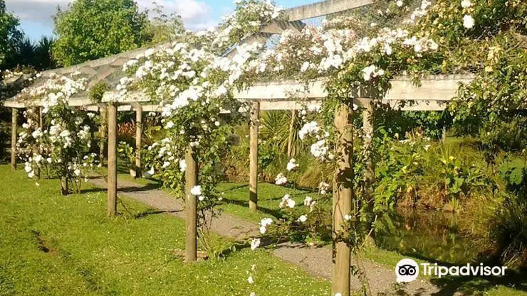 Katikati Bird Gardens