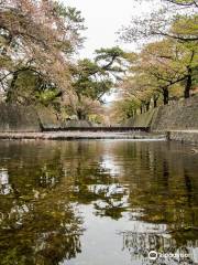 夙川河川敷緑地（夙川公園）