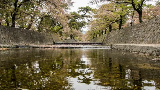 夙川河川敷緑地（夙川公園）