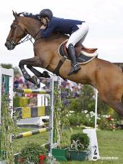 Great Yorkshire Show