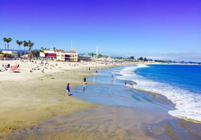 Santa Cruz Main Beach