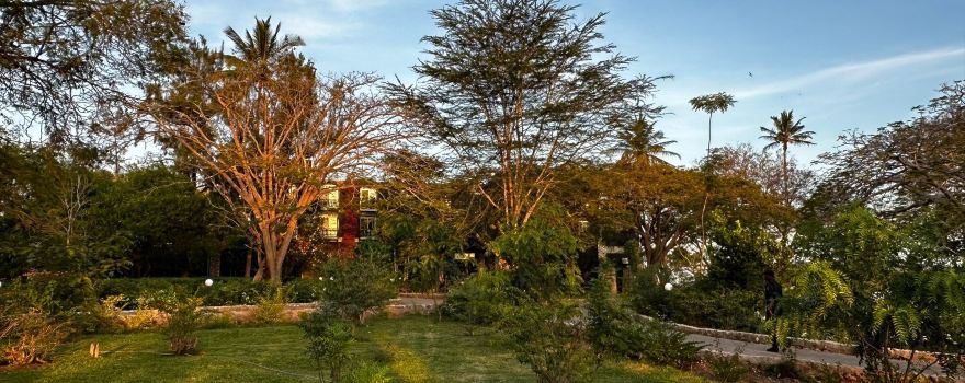Taita Hills Wildlife Sanctuary