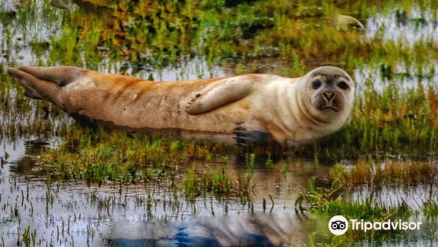 Teesmouth National Nature Reserve