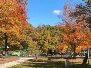 Carson Park