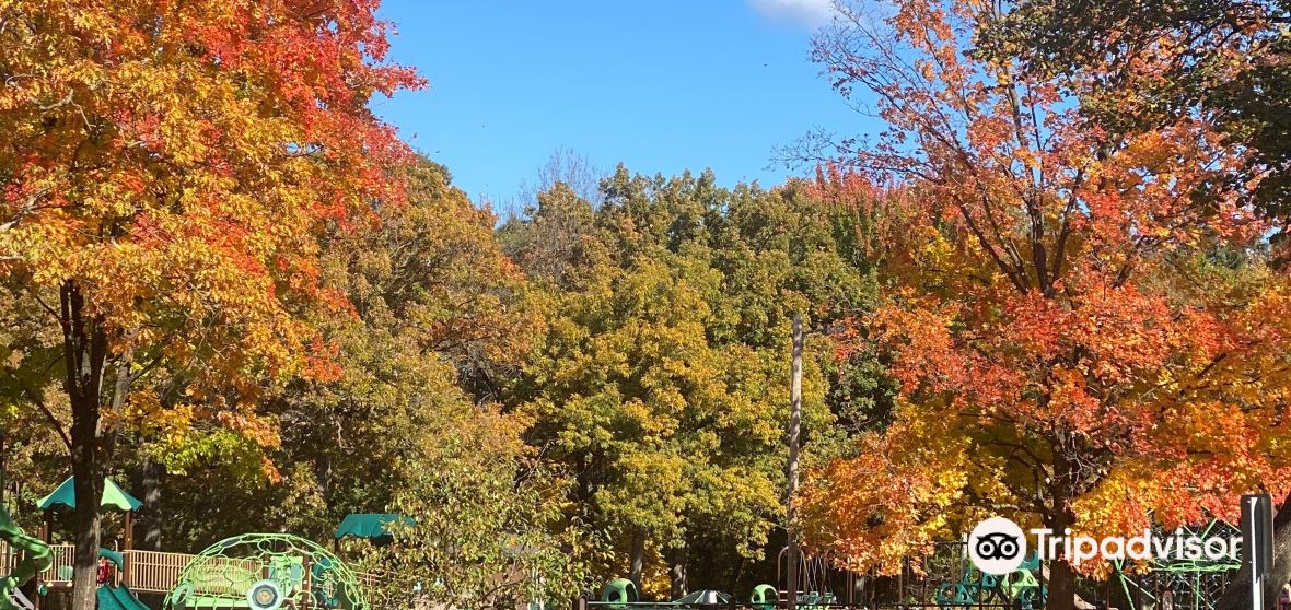 Things to Do in Eau Claire in 2024 Top Attractions, Local Food