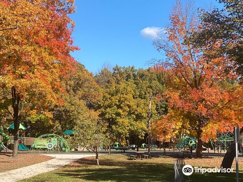 Carson Park