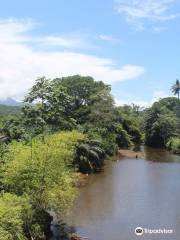 Pico Cão Grande