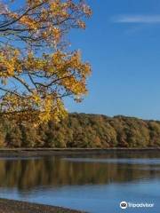 River Hamble Country Park