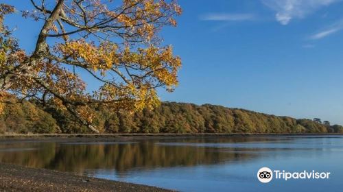 River Hamble Country Park