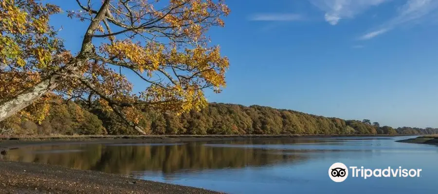 River Hamble Country Park