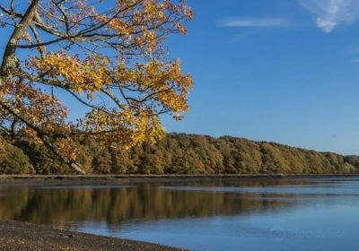 Manor Farm Country Park