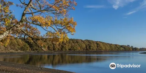 River Hamble Country Park