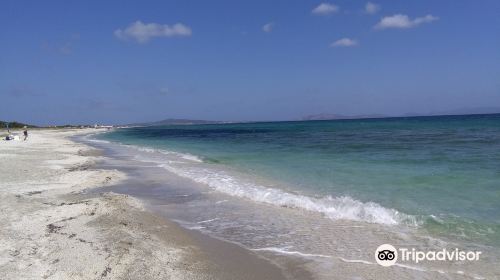 Stabilimento Balneare I Fenicotteri