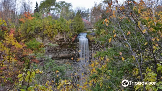 Borer's Falls Conservation Area