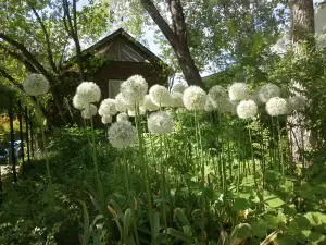 Tateshinakogen Barakura English Garden