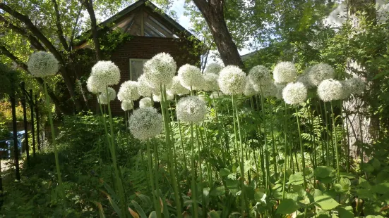 Tateshinakogen Barakura English Garden