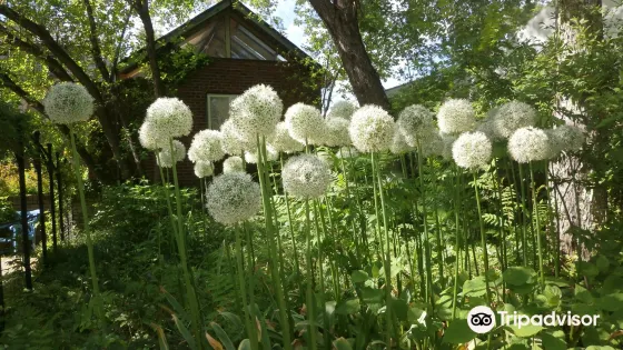 Barakura English Garden
