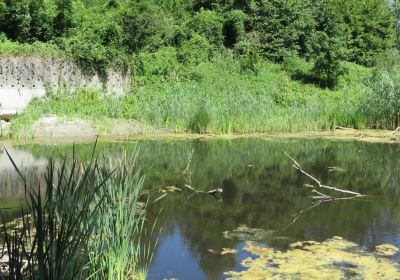 BirdLife Nature Center