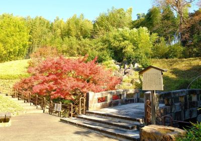 京都市洛西竹林公園