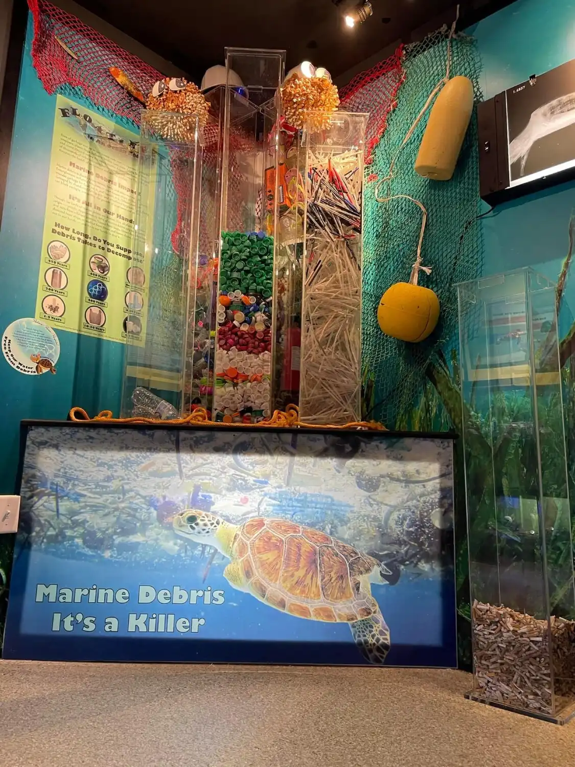 Hotels near Navarre Beach Sea Turtle Conservation Center