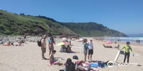 Playas de Berbes, Vega y La Sierra
