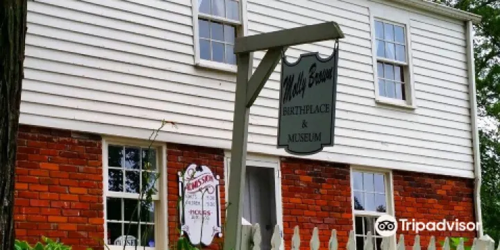 Molly Brown Museum and Home