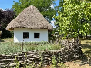Sóstói Múzeumfalu