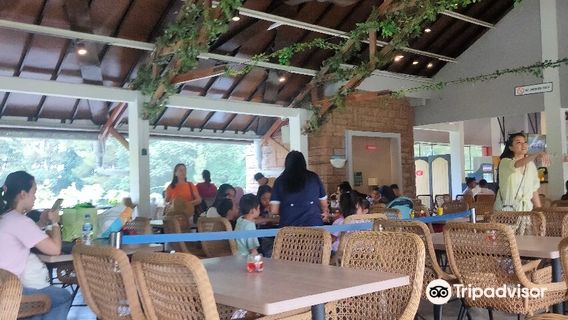 Cimory Dairyland Farm Theme Park Puncak