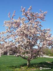 The Arboretum State Botanical Garden of Kentucky