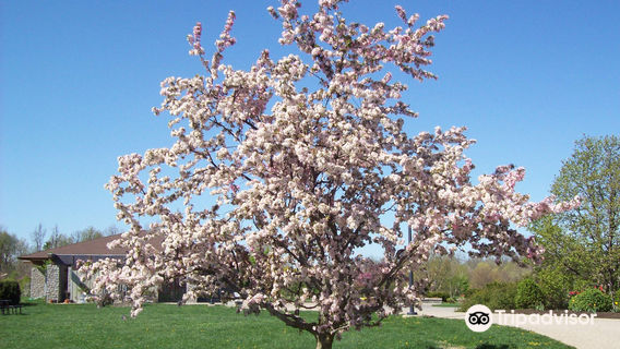 The Arboretum, State Botanical Garden of Kentucky