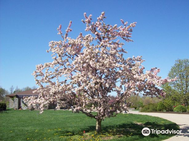 The Arboretum, State Botanical Garden of Kentucky