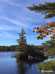 Crowbar Lake Trail