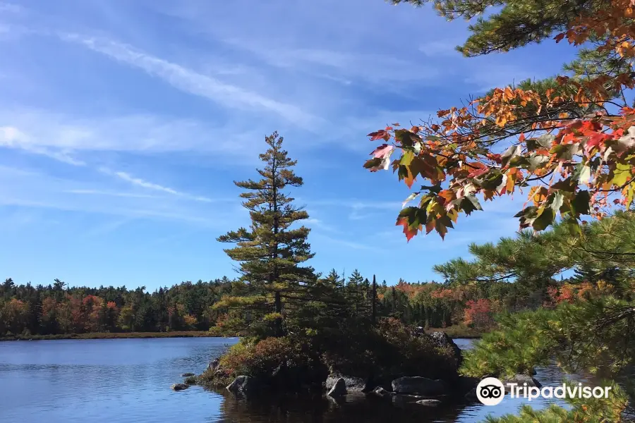 Crowbar Lake Trail