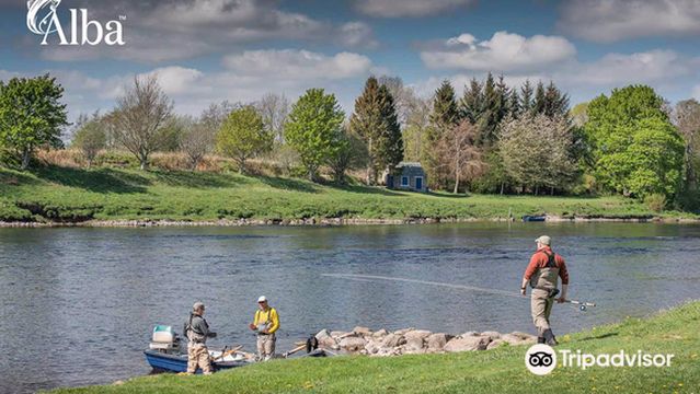 Alba Game Fishing Ltd